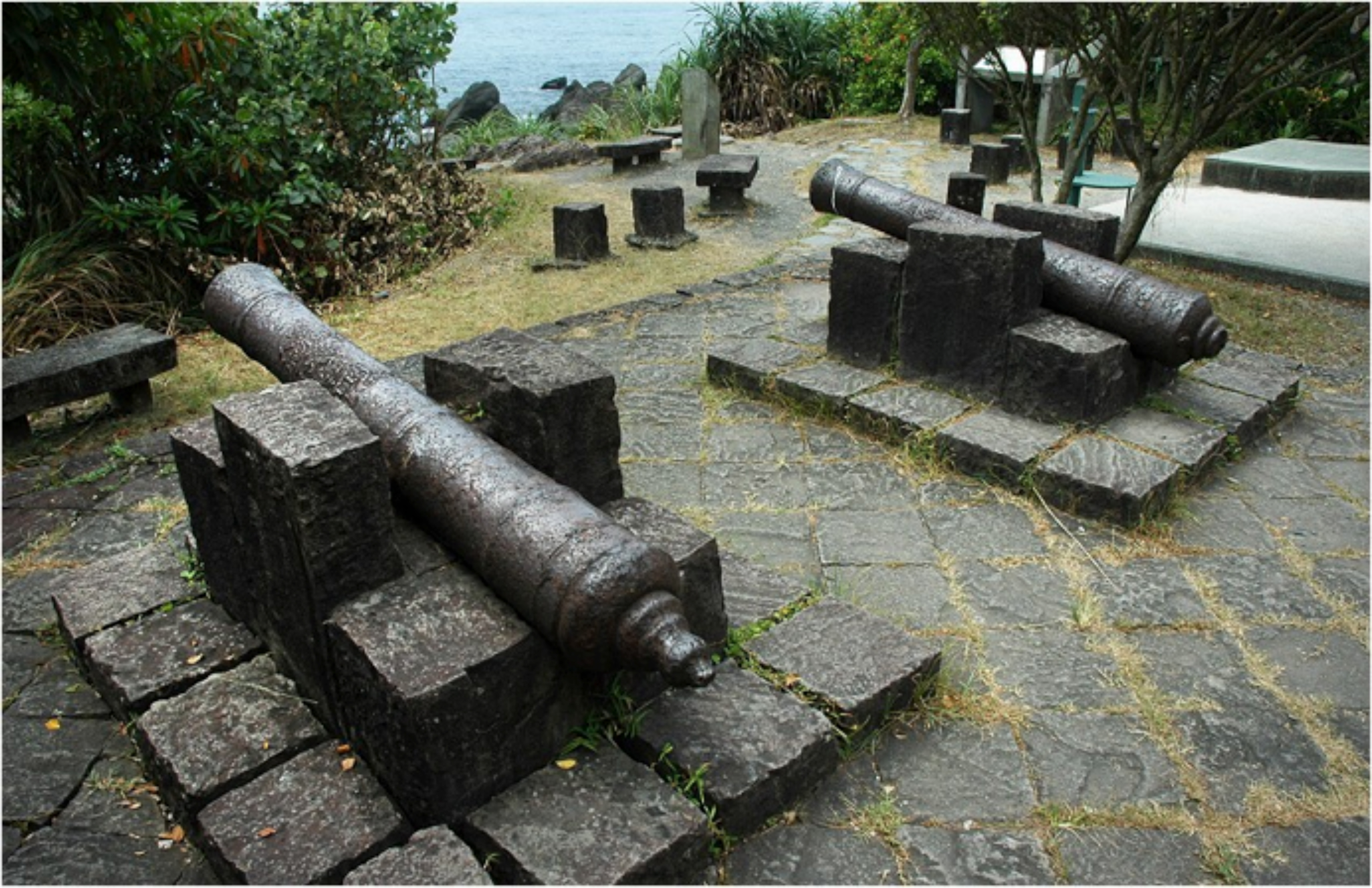 描述 : http://forestlife.info/Photo/278/07.jpg