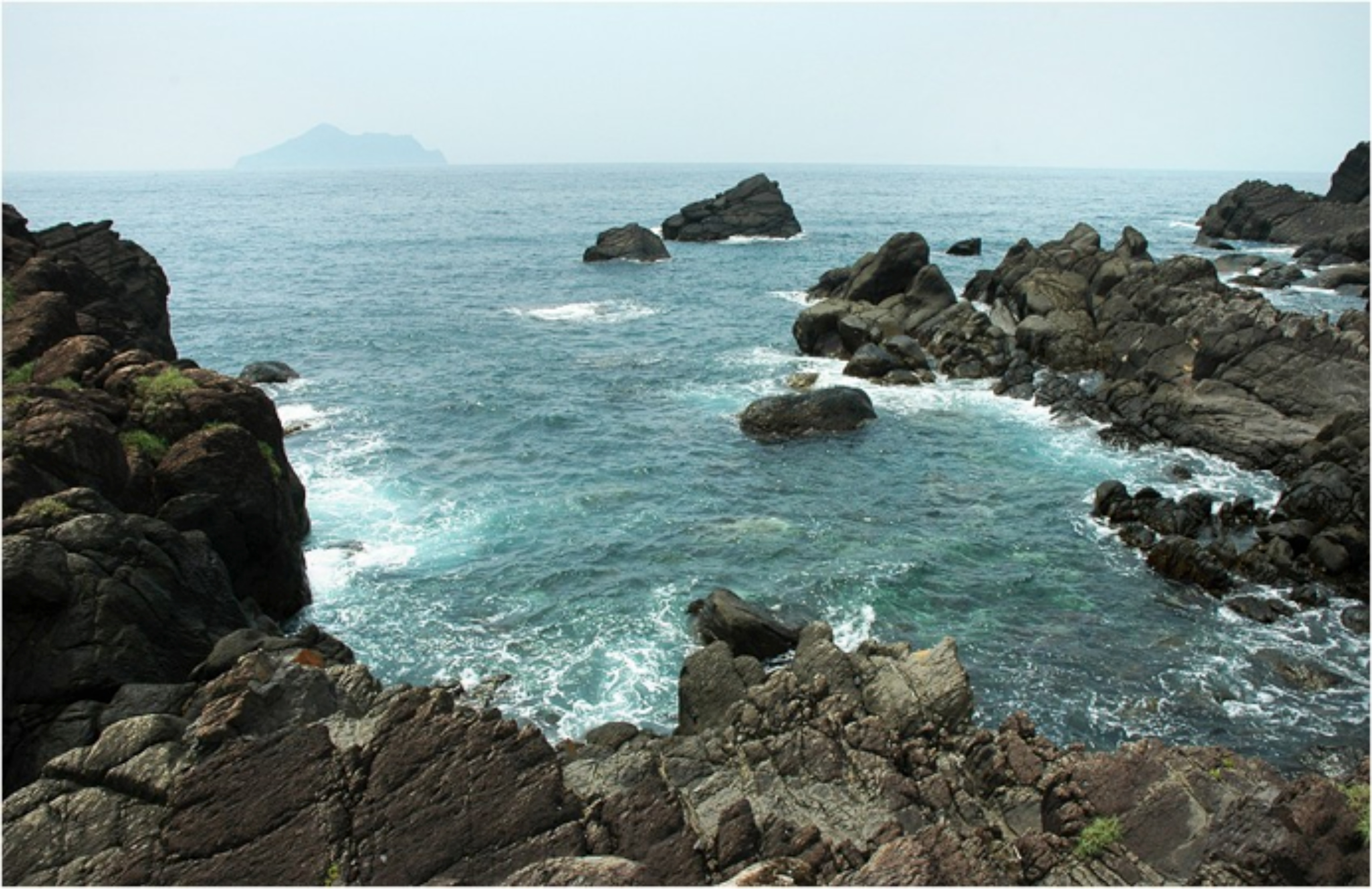 描述 : http://forestlife.info/Photo/278/26.jpg