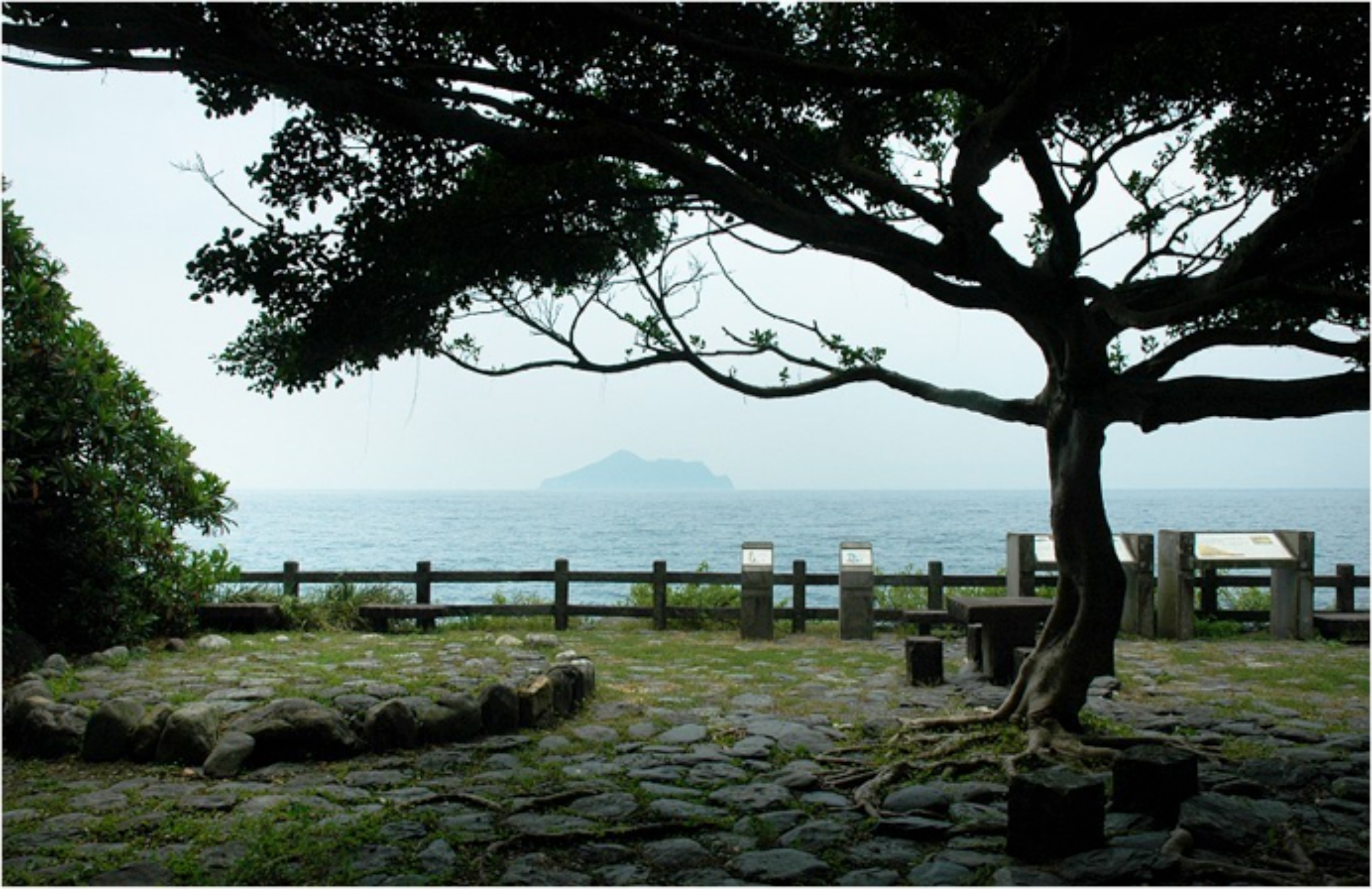 描述 : http://forestlife.info/Photo/278/10.jpg