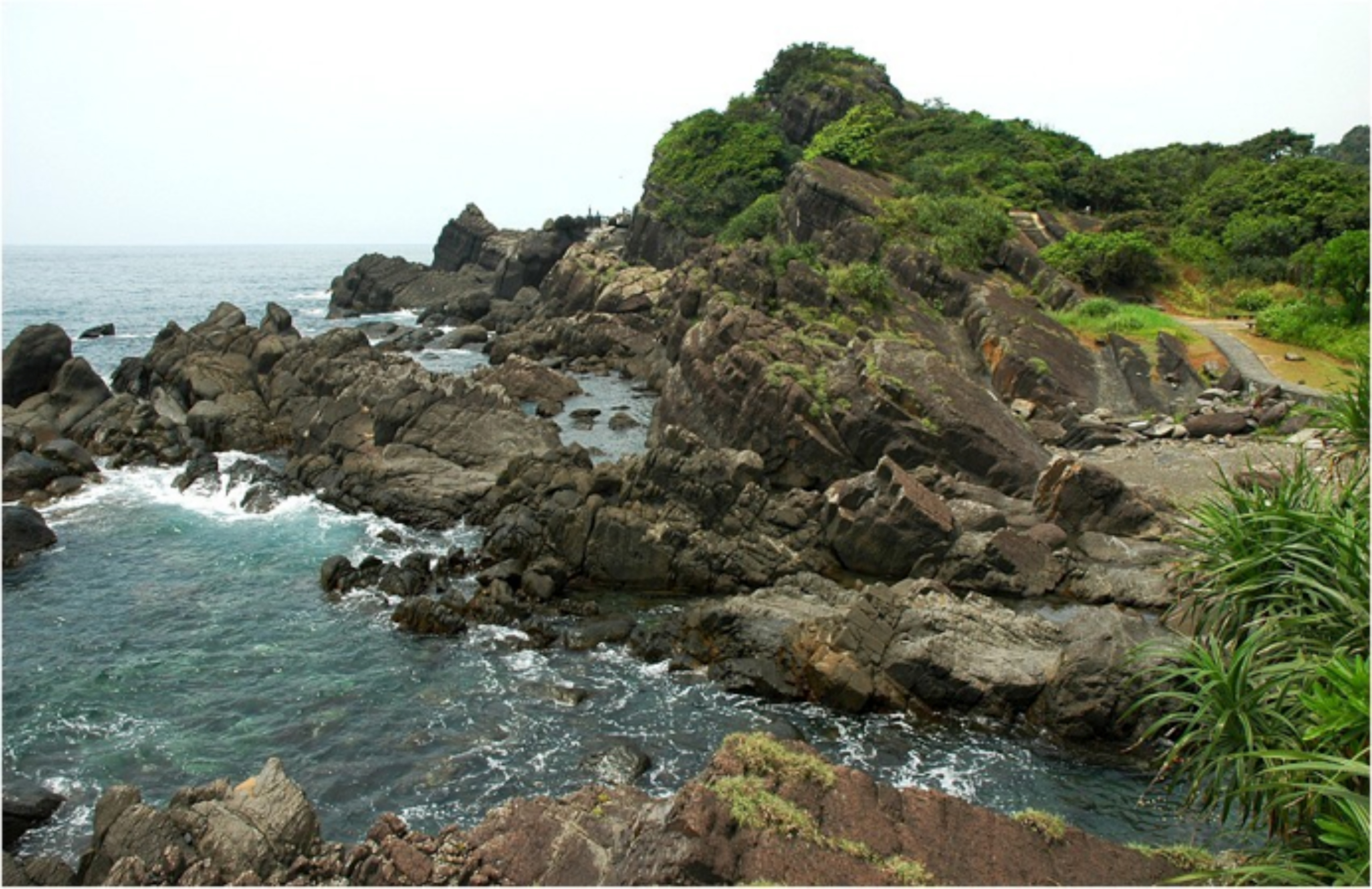 描述 : http://forestlife.info/Photo/278/13.jpg