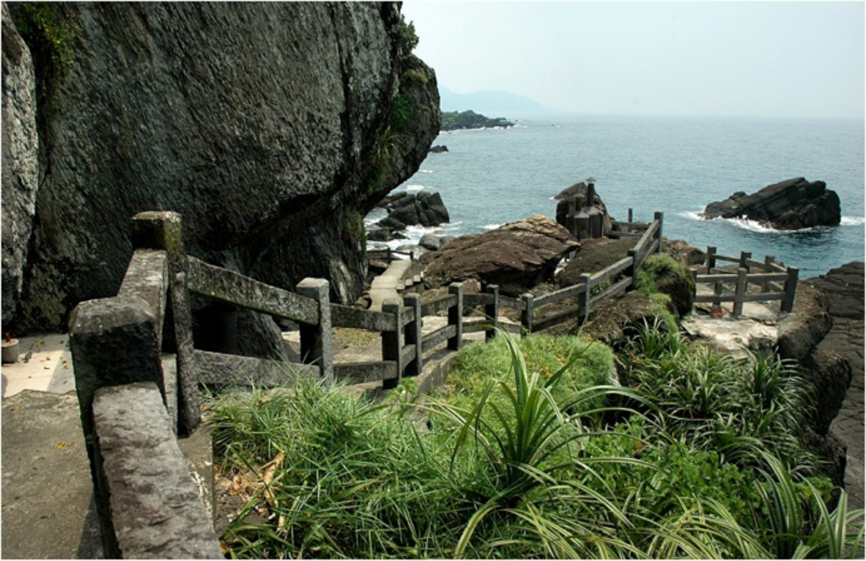 描述 : http://forestlife.info/Photo/278/28.jpg