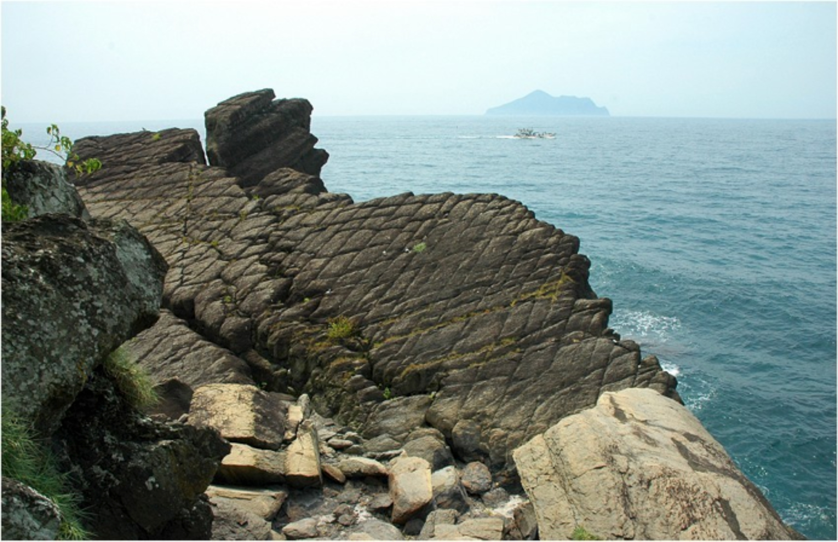 描述 : http://forestlife.info/Photo/278/23.jpg