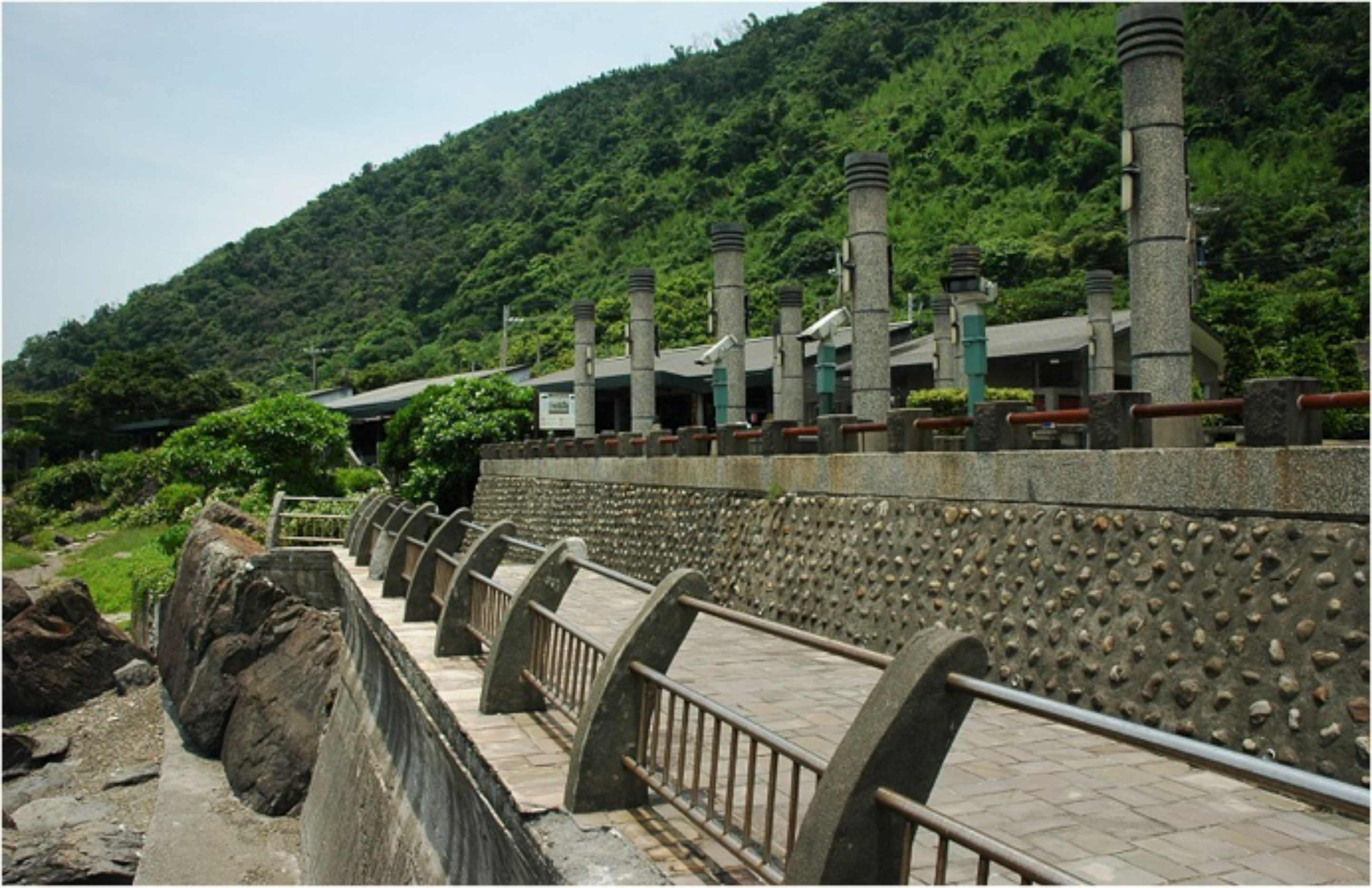 描述 : http://forestlife.info/Photo/278/03.jpg