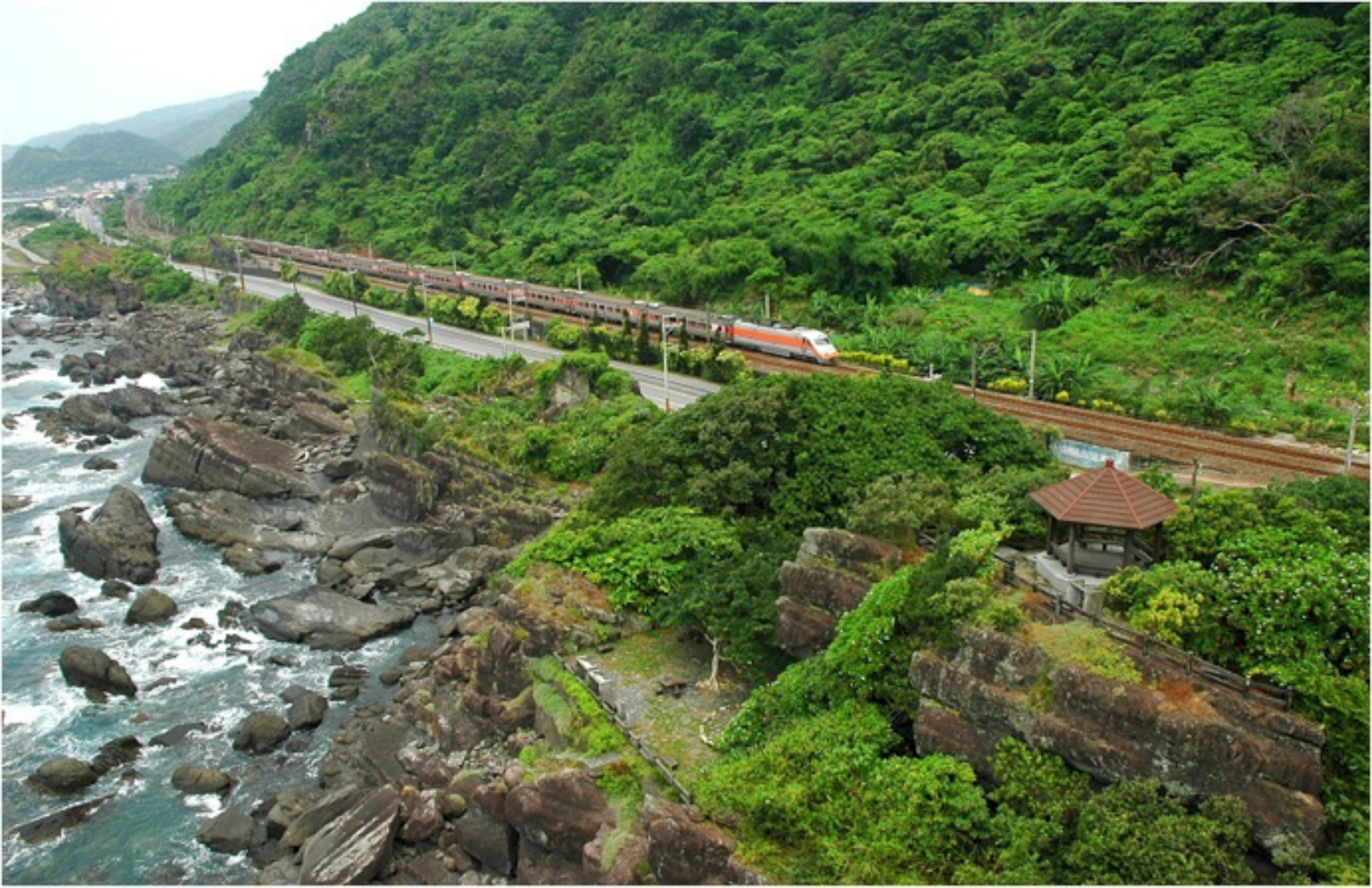 描述 : http://forestlife.info/Photo/278/35.jpg
