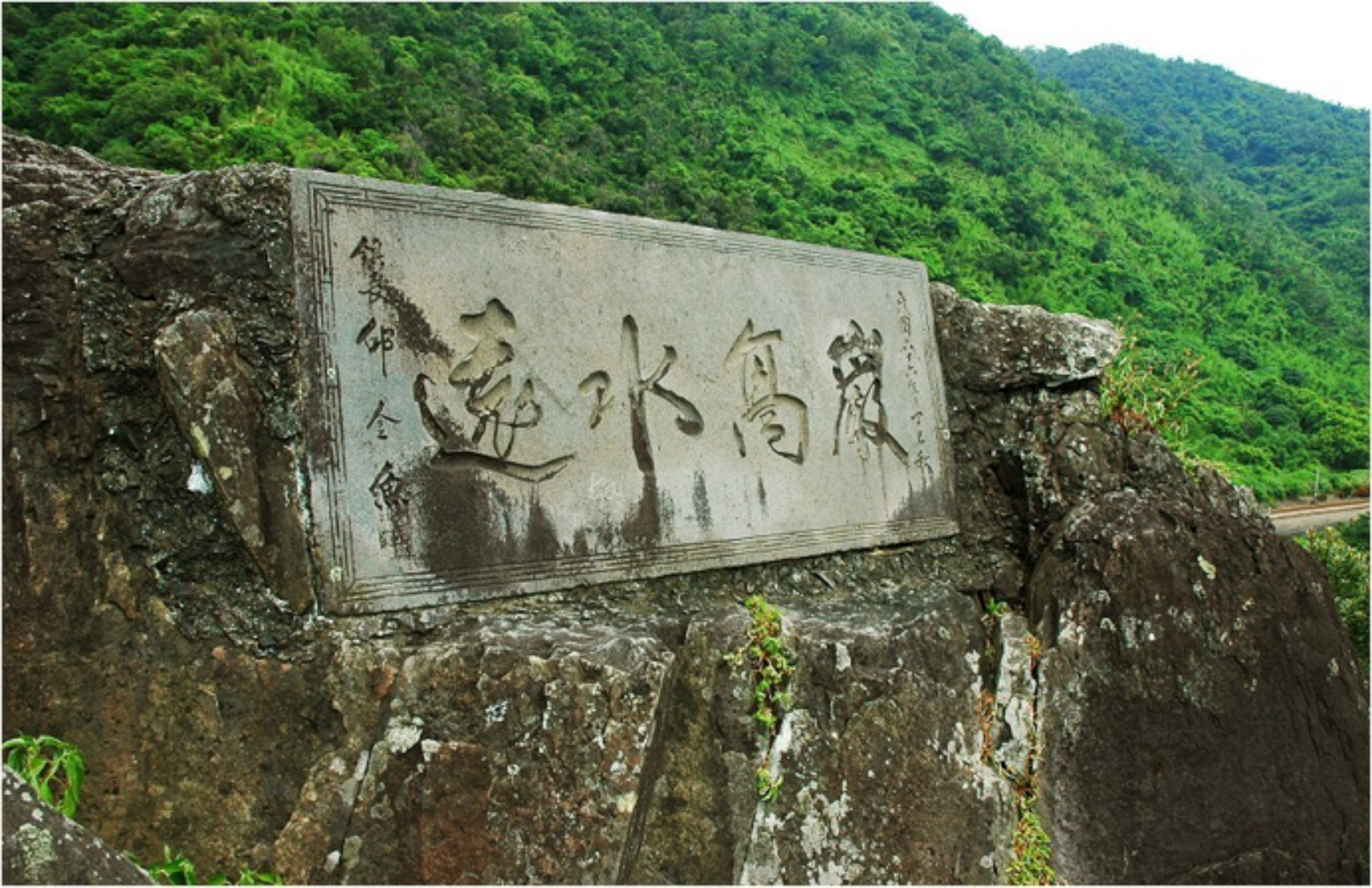 描述 : http://forestlife.info/Photo/278/36.jpg