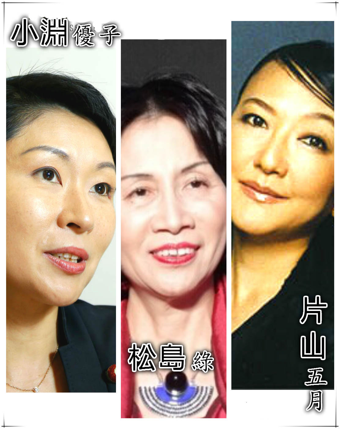 安倍說要讓所有的女性能發光發亮，但事實上安倍只是讓他看得到的、原本就有優勢的女性有所發揮而已。所以，縱然連續幾位女大臣因醜聞下台，也無損於她們原有的政經優勢，還是一樣地雍容華貴；當然，更不會因為幾個女性入閣或下台，就讓長期被歧視、壓抑的日本女性地位提升。（合成自網路資料）