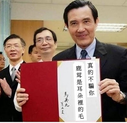 （圖片：作者提供）