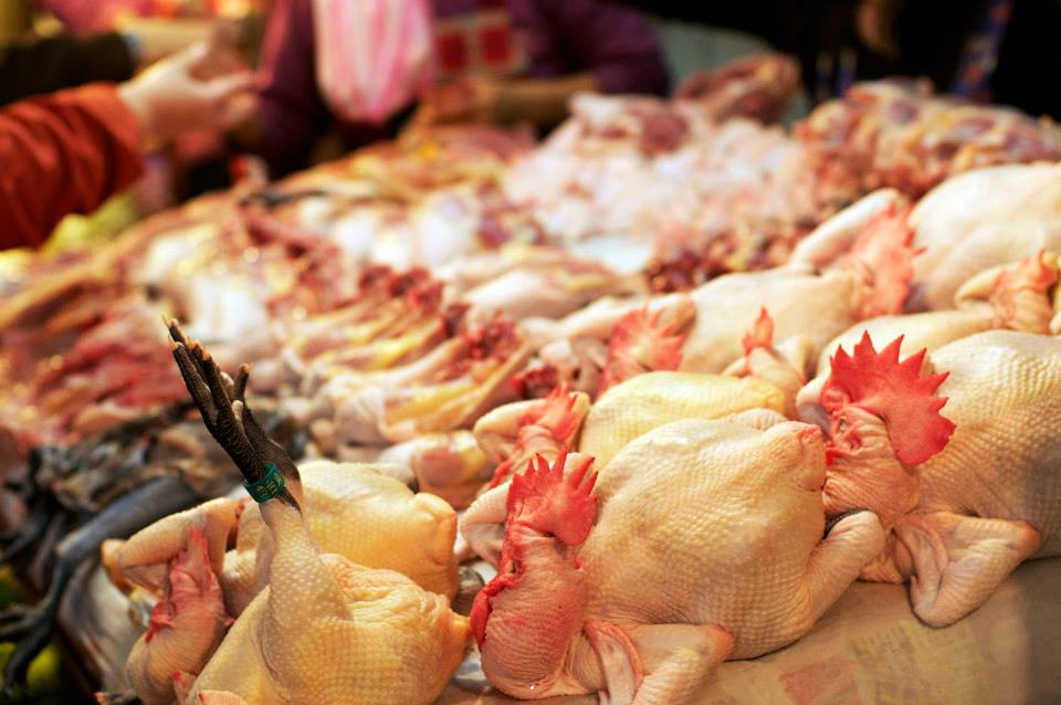 中國新增H7N9流感病例，疾管署呼籲國人前往對岸避免生食或接觸禽鳥。（本報資料照）