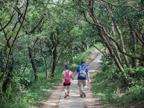 五酒桶山是北桃園熱門的假日踏青山林，標高155公尺，卻有絕佳的視野，站在山頂上，台灣海峽、國際機場盡收眼底。（圖／桃園市政府）