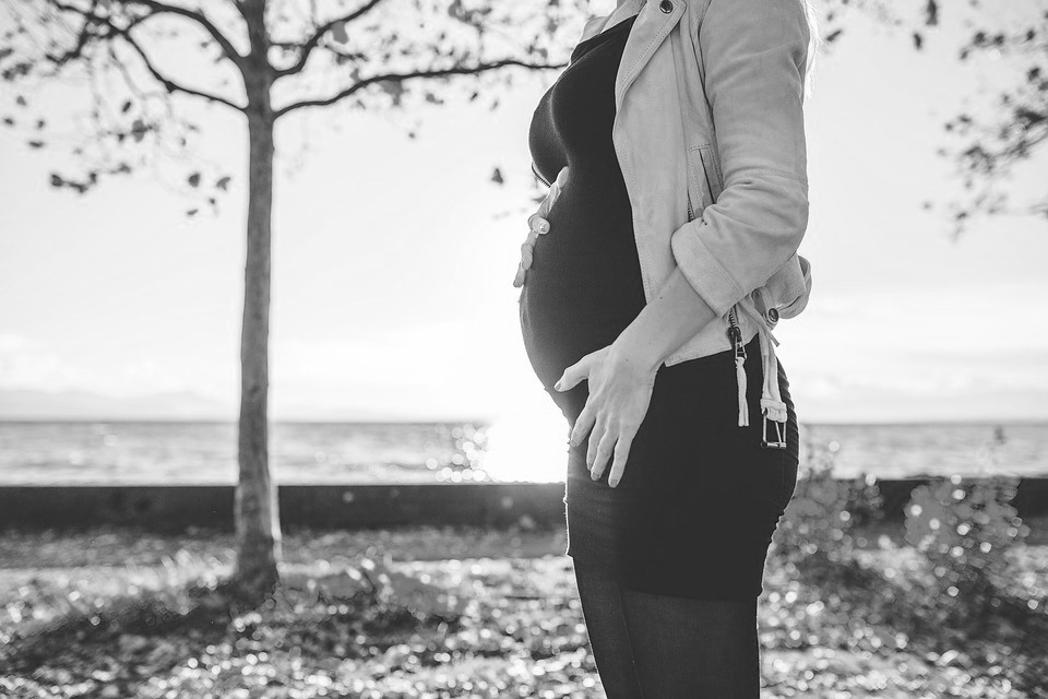 圖／取材自 pixabay（CC0 Public Domain），民報後製處理