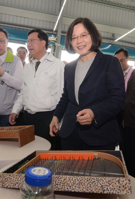 蔡英文（前右）26日抵達桃園，參加「無盟議員挺英仁記者會」，同時也展現童趣，在「小英商店」中玩彈珠台。（中央社）　