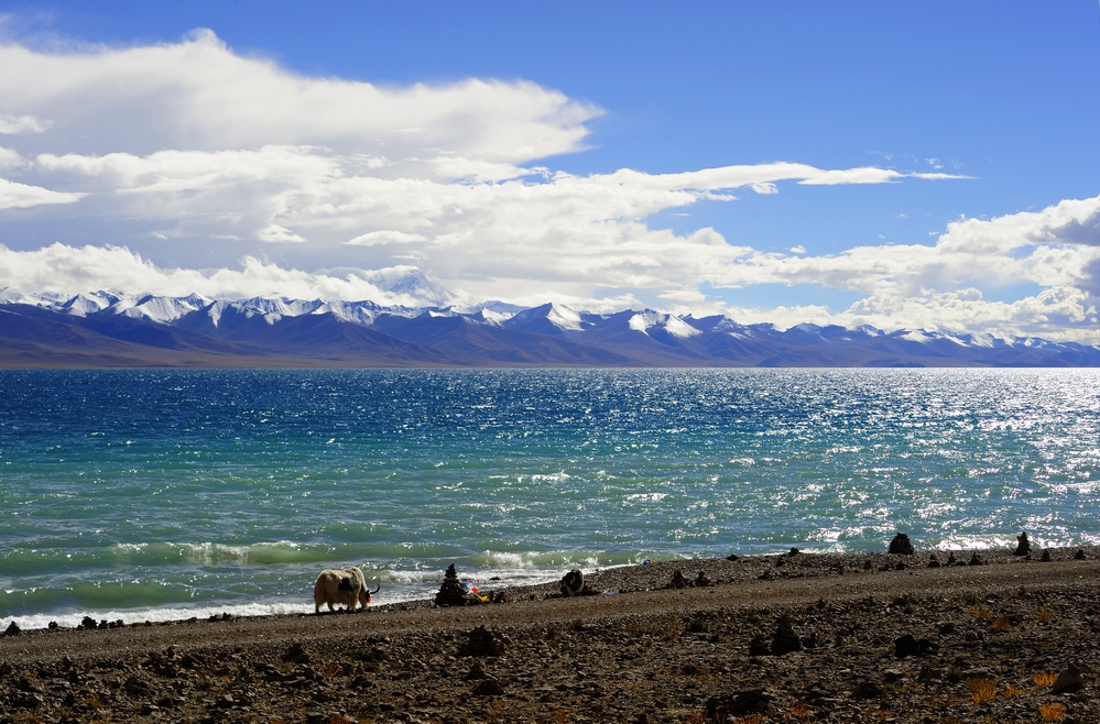 隨著冰河融化加速，藏人眼中的聖地納木措湖（Namtso Lake），其湖泊面積正持續擴大（圖片來源：Wikipedia/ Flickr/ Reurinkjan）