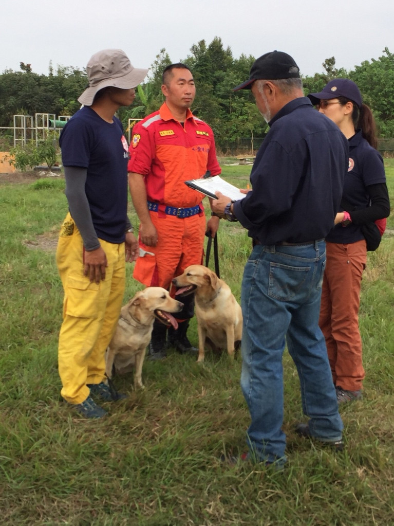 台中市搜救犬鐵雄丶腿腿獲國際認證的殊榮，另二隻明年挑戰。（台中市消防局）