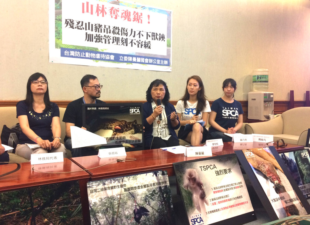 動保團體控訴山豬吊對動物過於殘忍，政府應該加速禁用。圖／李秉芳