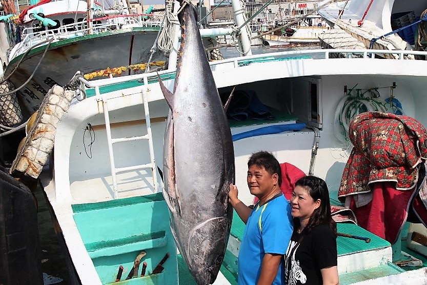 東港籍漁船「魚來滿6號」船長林家瑞，在北緯20度3分、東經124度18分台灣東南方海域捕獲母黑鮪魚，東港區漁會今確認為今年黑鮪魚季「第一鮪」。(圖/屏東縣府)