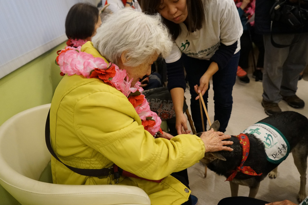 大同日照中心的失智長者與治療犬開心互動。圖／馬偕醫院提供