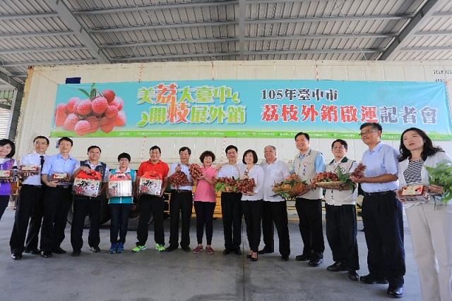 台中市荔枝品質優良數量多，市府積極輔導外銷星馬美日，期荔枝成為台中市的「市果」，行銷台中市農業的代表。（中市新聞局提供）