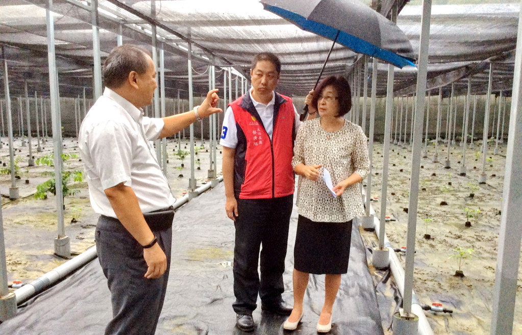 這個場址占地廣闊，依經營計畫種植上萬棵沉香，但仍因未符其他要求而面臨撤銷許可。(圖/蘇治芬辦公室)