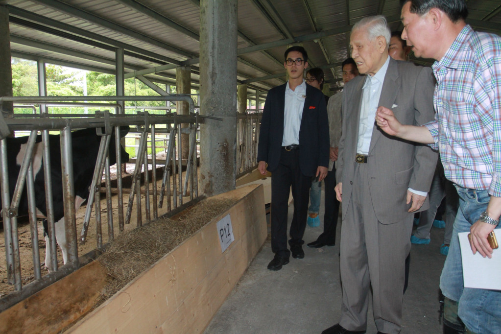  李登輝視察兆豐農場內飼養的「源興牛」。圖／王志偉翻攝