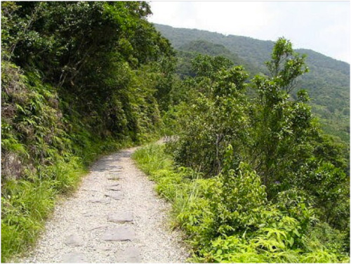 跑馬古道，曾是日本陸軍戰馬馳騁的道路。