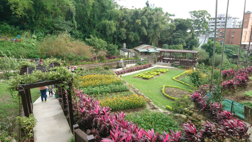 泰山區秘境花園─應化大排生態園區。圖／張添福