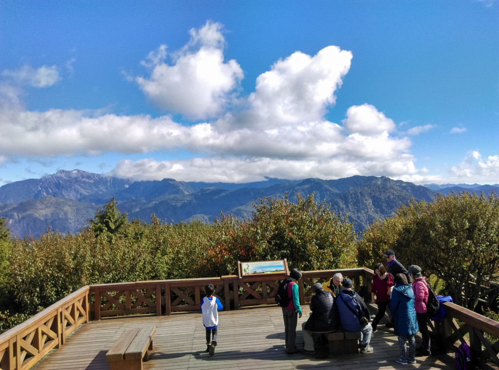 到小笠原山觀景平台，可以順遊高山植物園。圖／嘉義林管處提供