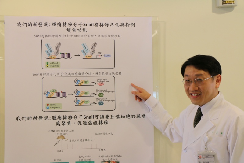 陽明大學臨床醫學研究所教授楊慕華亦被捲入此次論文造假案，但他以科學精神面對科學上的質疑，希望重振台灣生醫界的聲譽。圖／取自陽明大學官網