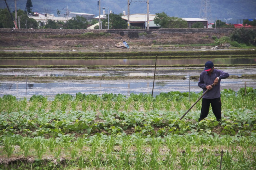 食安是全民運動，也是全民的責任。（民報資料照片，黃謙賢攝）