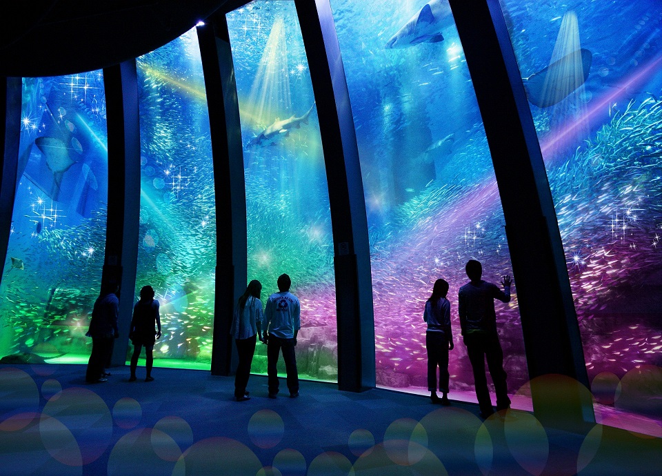 日本最大的橫濱八景島水族館,與國泰人壽合作,將在桃園高鐵站旁開設分館,預計2020年開幕。這是本土壽險公司投資台灣的良好範例。圖/取自八景島Sea Paradise官網