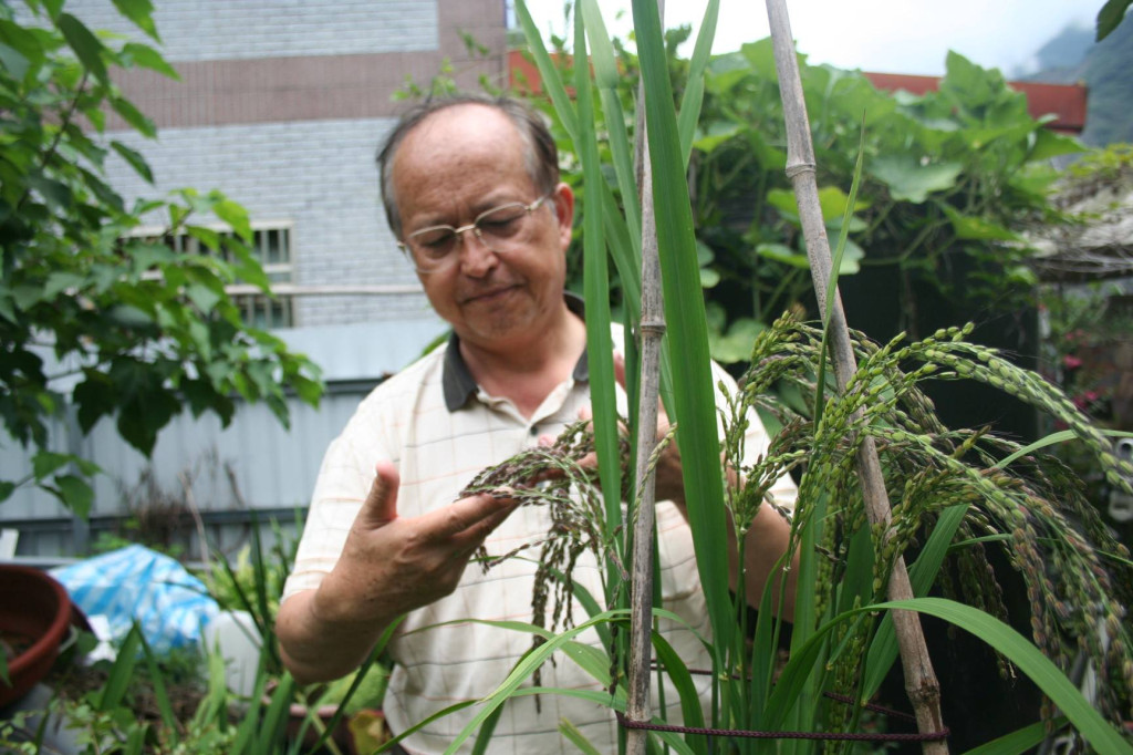 終生守護原鄉部落的楊茂銀醫生，希望能夠復育消失40年的香米。圖／張肇烜翻攝