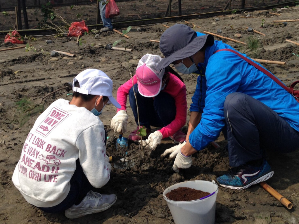 營造海岸防風林不簡單，中市府與林務局在松柏漁港外種植3千防風喬木，防砂及塵土飛揚，減少空汙及漁港淤塞。圖／台中市政府