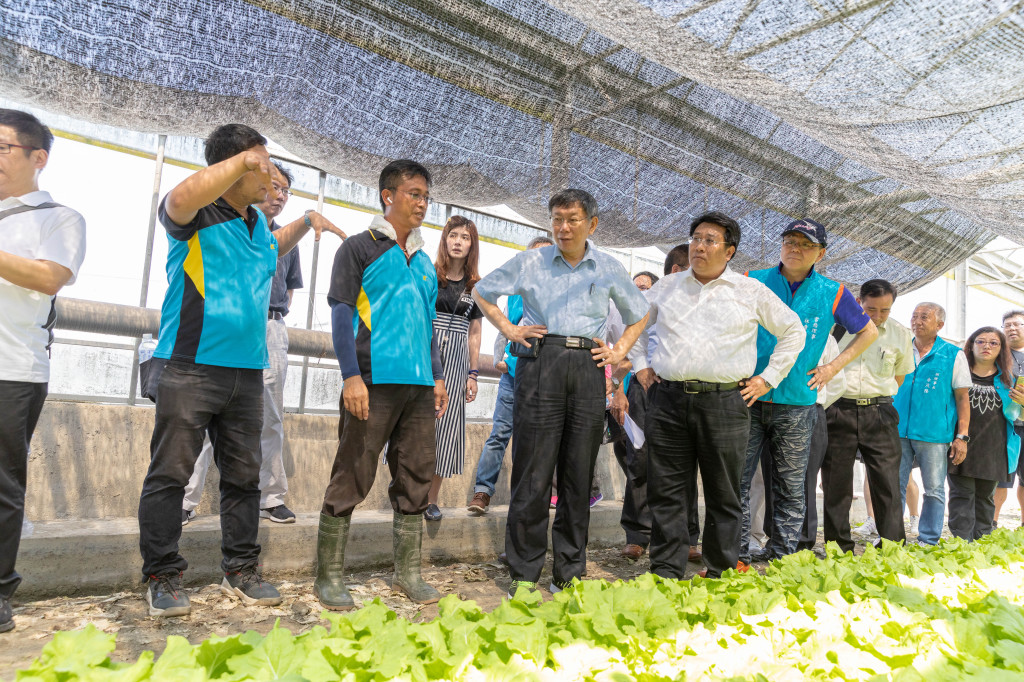 台北市長柯文哲今（1）日前往雲林參訪有機蔬菜農場。圖／台北市政府