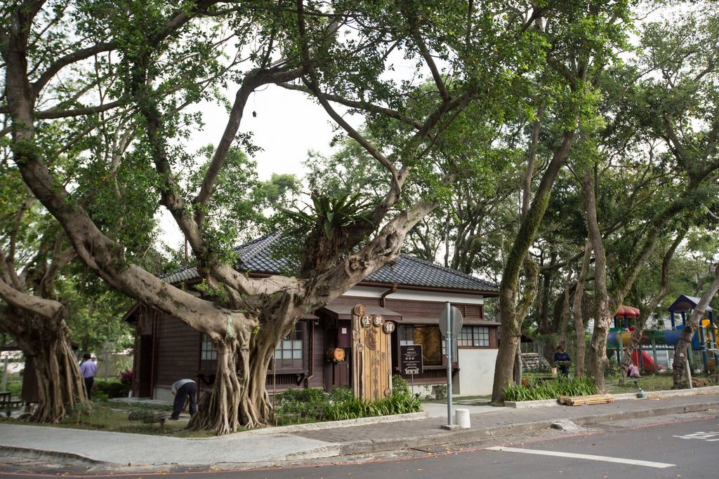 大溪木藝館壹號館周邊老樹林立。圖／大溪木藝館