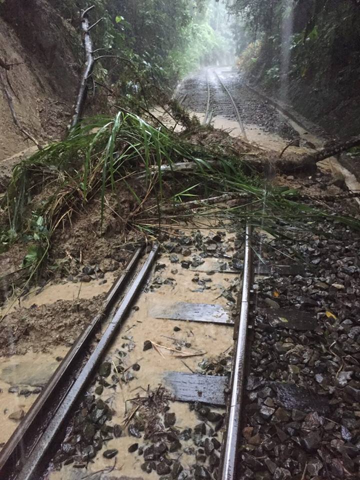 連日豪雨，阿里山森林鐵路樹木滑落，今天停駛一天。(圖/擷取自fun 台鐵)