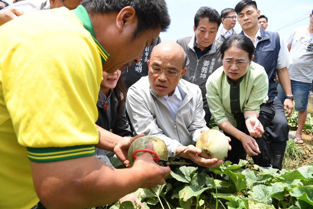 行政院長蘇貞昌今日今（21）日訪視桃園市瓜果作物災損情形，對於瓜果作物因「水傷」無法販售，政府將從速、從寬、從優給予受災農民現金補助。圖／行政院