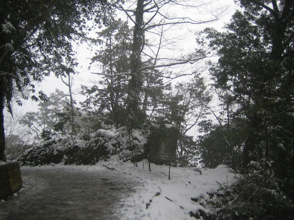 寒流來襲，桃園拉拉山下午也開始降雪，林務局新竹林管處公告，除車輛有裝雪鏈可上停車場停車，其餘車輛禁止入内停車，晚間也將封路，民眾需多注意交管資訊。圖／劉明堂（資料照）