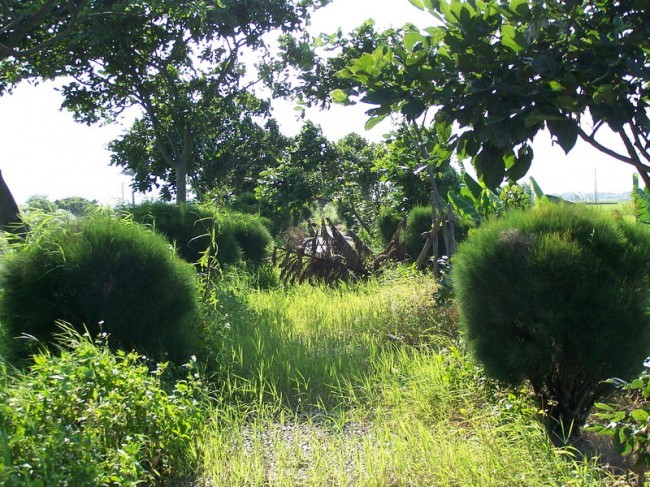 古結休閒公園《宜蘭‧壯圍》