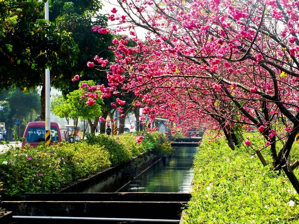 宜蘭農田水利會積極辦理更新改善工程，將渠道改善為Ｕ型溝，同時堤頂及週邊水利地，廣植花木綠美化，形成河濱綠帶美化田園景色。