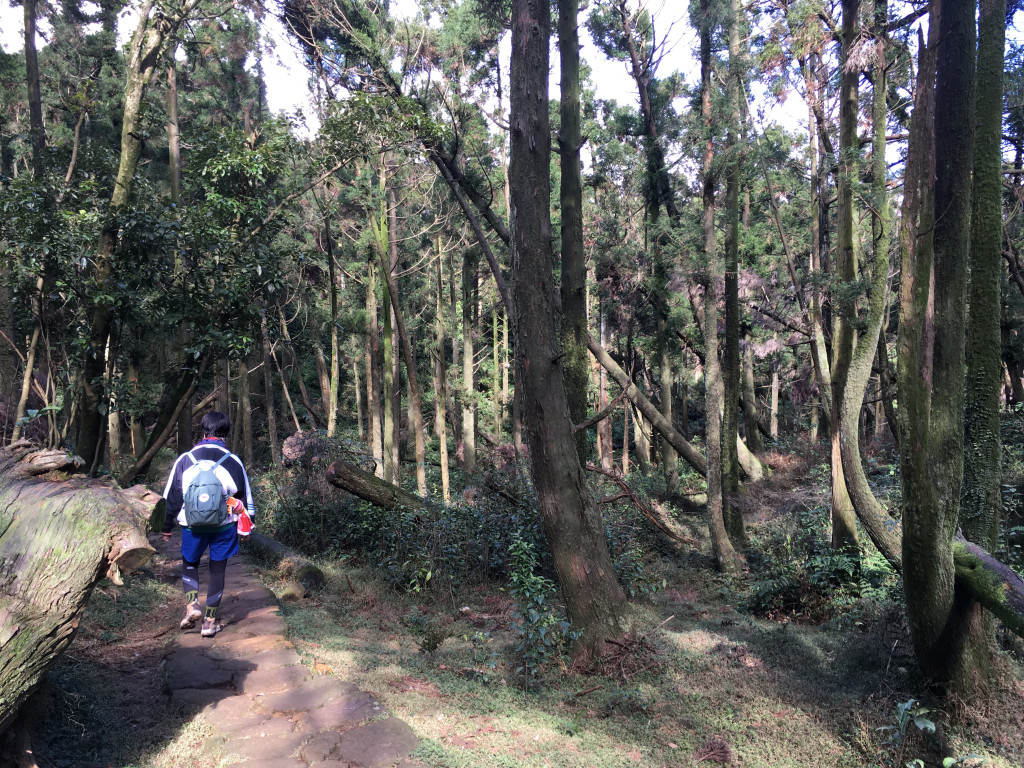 台灣有許多大小山林，不過日前有登山客因為未申請攀爬管制山區遭到開勸導單後判刑，綠委黃國書呼籲應鬆綁管制，檢討不合時宜的法令。圖／資料照，李秉芳