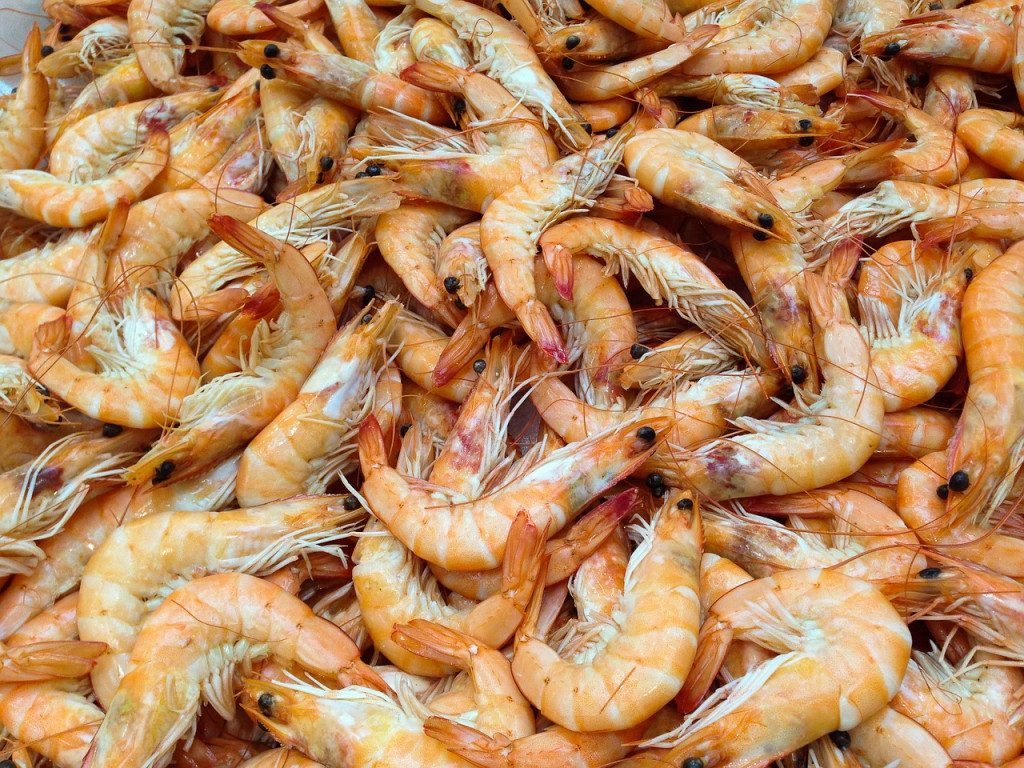 台灣養殖蝦每年產量僅2萬公噸（全球對蝦產量達300〜400萬公噸），不僅無法滿足國內消費需求，每年還需從國外大量進口冷凍蝦類以補不足。示意圖／Pixabay 
