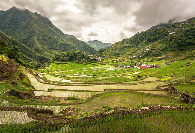 面對山地農業山坡地超限利用的難題，混農林業的可行性見仁見智。（圖片來源：Wikimedia Commons）