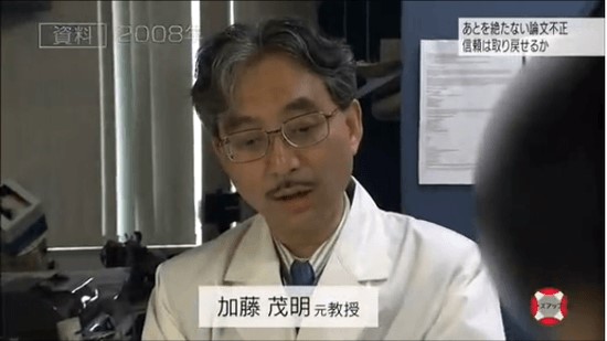 東京大學分子細胞生物學研究所前教授加藤茂明。圖/翻攝自NHK影片資料畫面(NHK・クローズアップ現代)--來自民報3月4日。