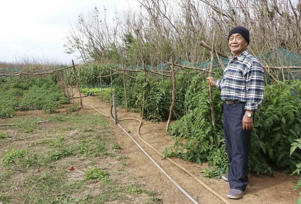 福伯仔有片菜園種植二十多種蔬果，全部免費讓師生吃到飽。圖/蔡育豪