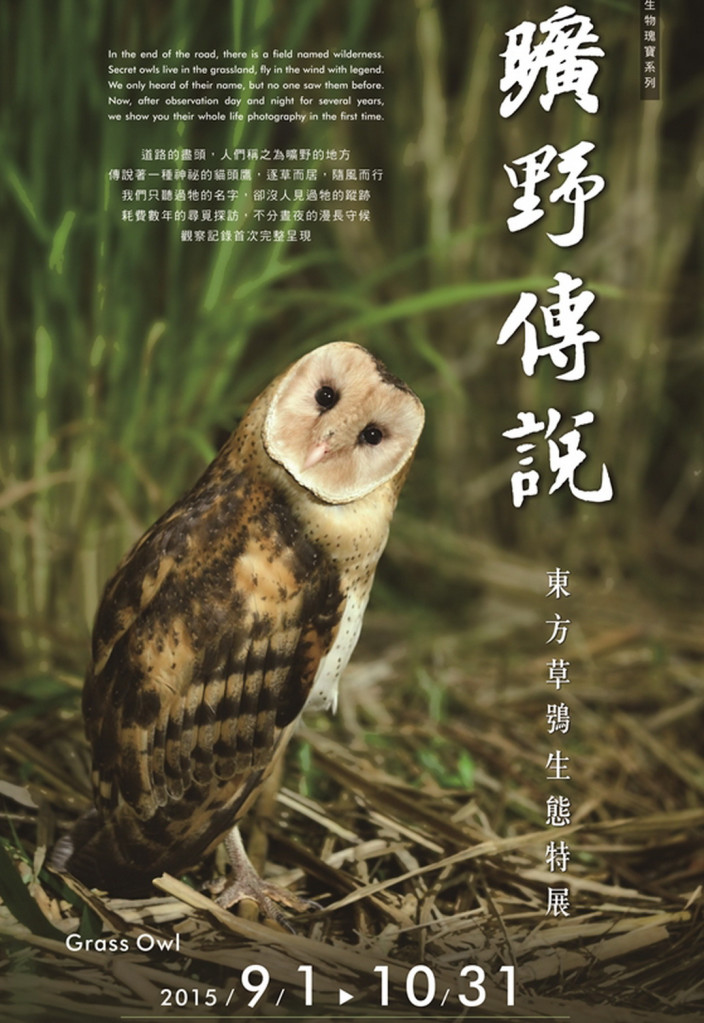 臺南市擁有幅員遼闊的淺山環境,在玉井、龍崎、大內及楠西等轄區內,草木稀疏的惡地丘陵中,棲息著臺灣目前族群數量最罕見的珍稀猛禽-東方草鴞,,老一輩的人習慣稱呼牠們猴面鷹。(記者陳俊廷翻攝海報)