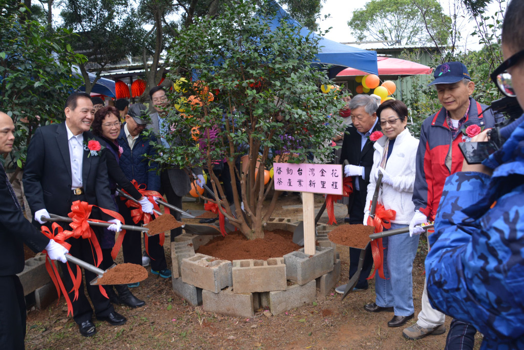 茶花學會2018年全國最大茶花展開幕，來賓為金茶花覆土。圖／陳建佳