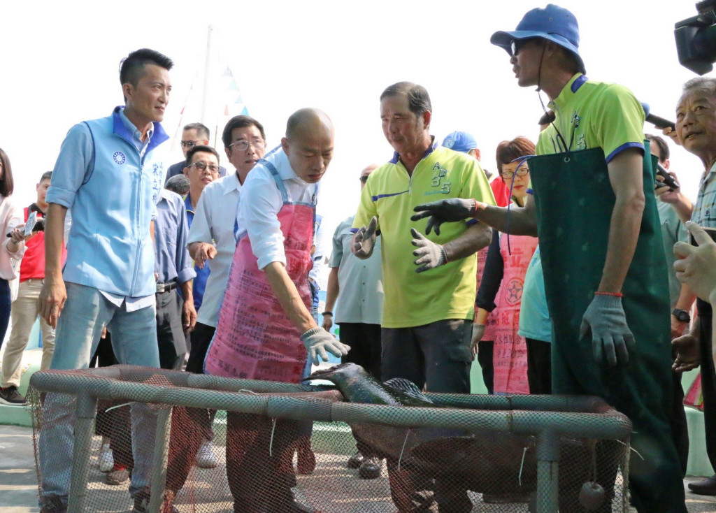 韓國瑜3日至高雄永安視察石斑魚養殖葉，並宣傳石斑魚節。會後提及關於訪美行程的想法。圖／高雄市政府網站