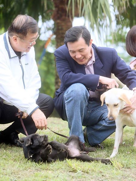 總統馬英九今（16）日晚間透過臉書發文推廣動物認養，特別提到他認養的愛犬「馬小九」。他說，「馬小九」現雖高齡16歲，但氣宇軒昂，一表狗才；受到主人愛好運動的感召，牠也能吃能睡，身體健朗，就像家人一樣，為家中帶來許多趣味與歡笑。（翻攝馬英九總統臉書）20150416
