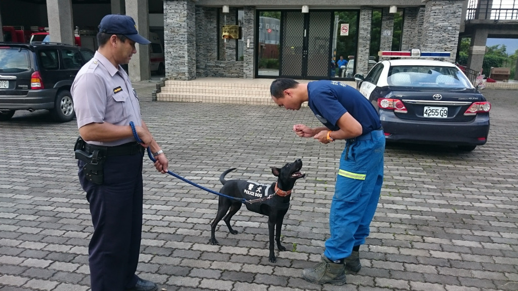 關山警分局送流浪犬「鼓勵」去「上學」。（王志偉翻攝）