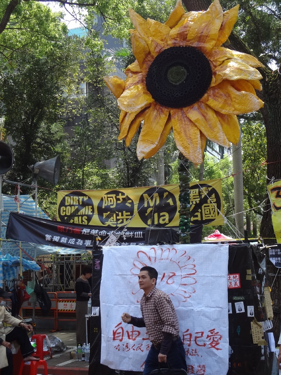 318太陽花學運將滿週年。（民報資料照片，劉明堂攝）