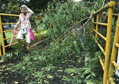 梅姬颱風過境帶來強風豪雨，28日台北市河濱公園一片狼藉，許多樹木倒塌橫躺步道，早起運動的民眾常常得 跨樹而過。圖 / 中央社